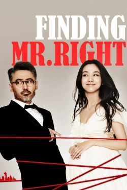 Finding Mr. Right-online-free