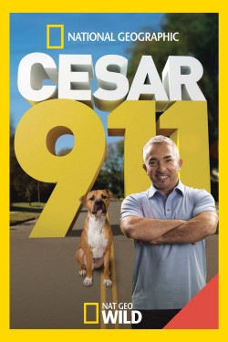 Cesar 911-online-free