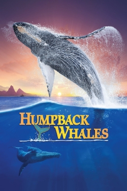 Humpback Whales-online-free