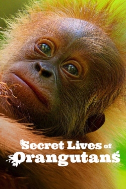 Secret Lives of Orangutans-online-free