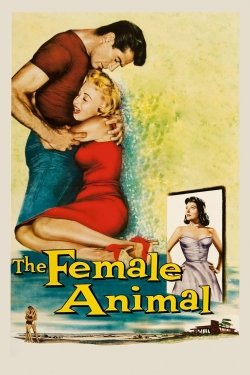 The Female Animal-online-free