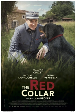 The Red Collar-online-free