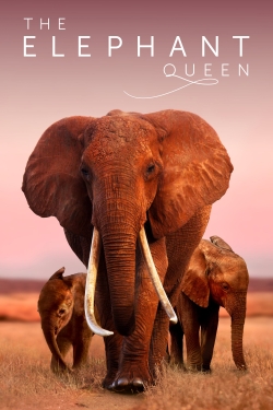 The Elephant Queen-online-free