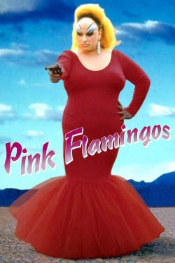 Pink Flamingos-online-free