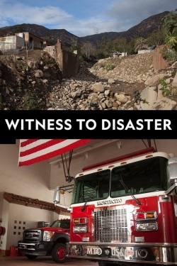 Witness to Disaster-online-free