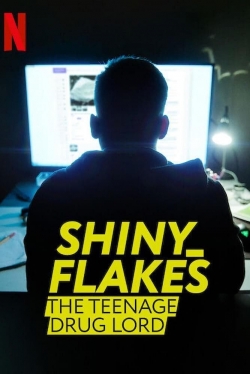 Shiny_Flakes: The Teenage Drug Lord-online-free