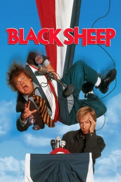 Black Sheep-online-free