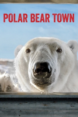 Polar Bear Town-online-free