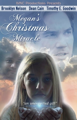 Megan's Christmas Miracle-online-free