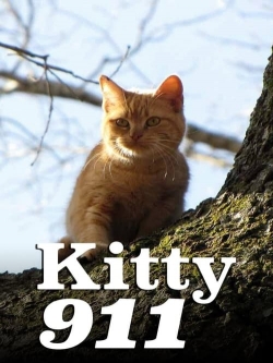 Kitty 911-online-free