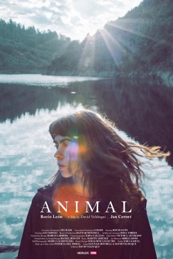 Animal-online-free