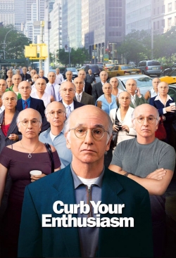 Larry David: Curb Your Enthusiasm-online-free