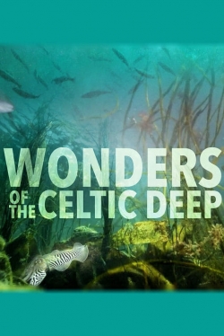 Wonders of the Celtic Deep-online-free