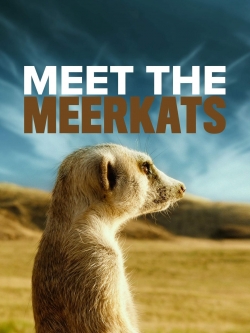 Meet The Meerkats-online-free