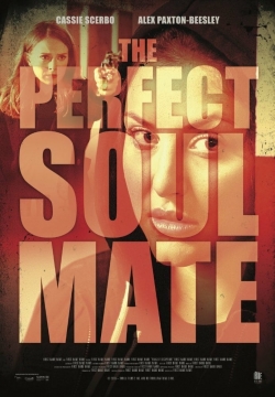 The Perfect Soulmate-online-free