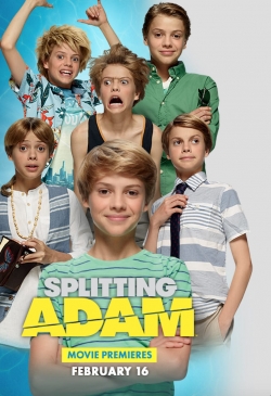 Splitting Adam-online-free